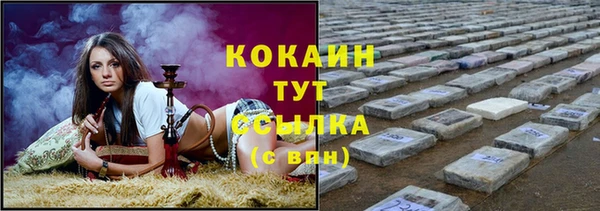 мдпв Богданович