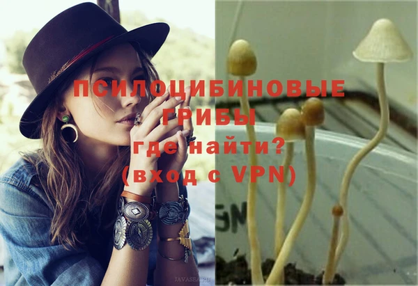 марки nbome Богородицк